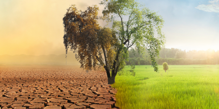 Cuando la conciencia colectiva social y ambiental es mayor que la responsabilidad del poder político.